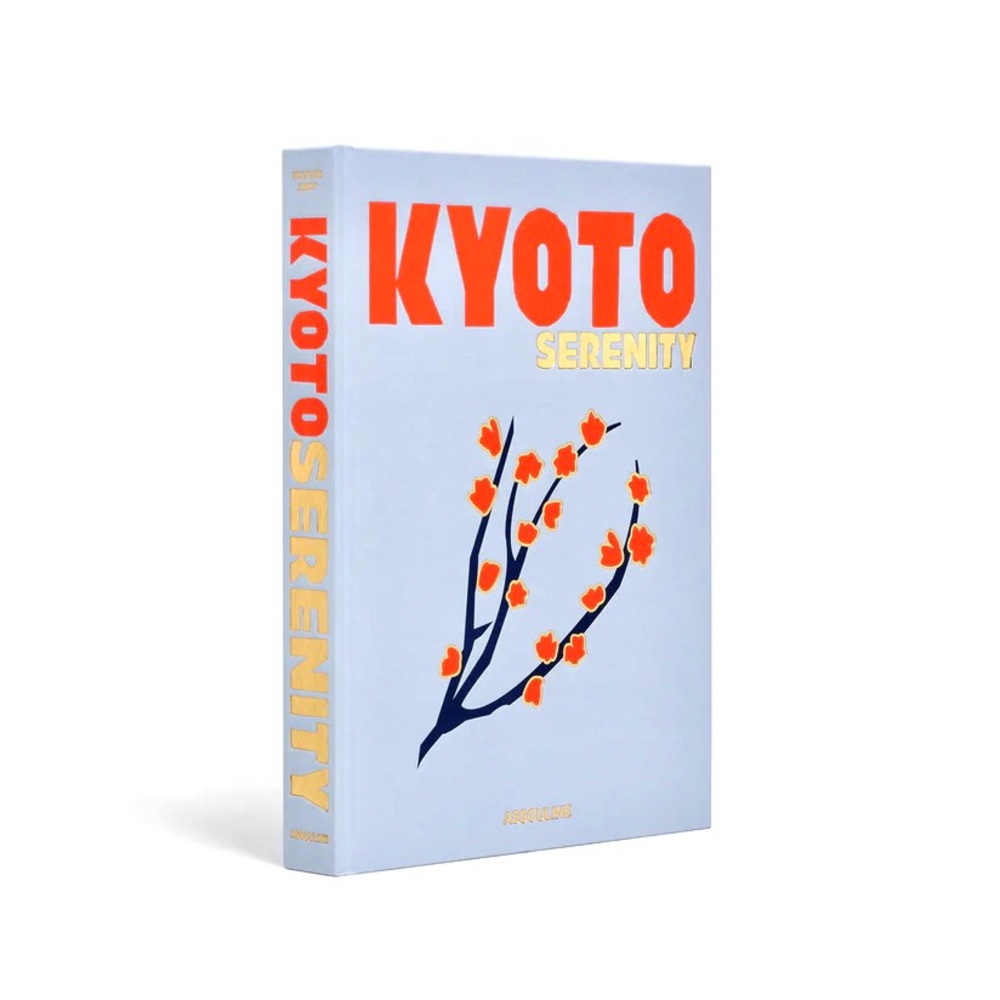 NEW Decorative Assouline Book Box